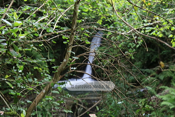 Ruta Cascada del Gorgollón