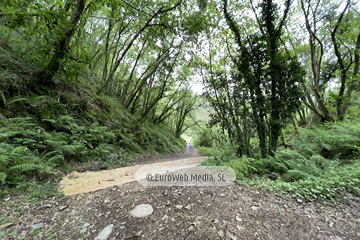 Ruta Cascada del Gorgollón