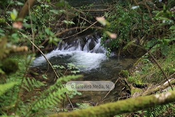 Ruta Cascada del Gorgollón