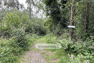 Ruta Cascada del Gorgollón
