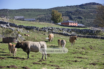 Santa María del Puerto, Premio al Pueblo Ejemplar de Asturias 2021