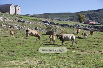 Santa María del Puerto, Premio al Pueblo Ejemplar de Asturias 2021
