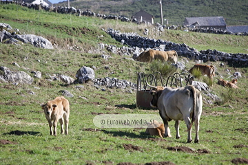 Santa María del Puerto, Premio al Pueblo Ejemplar de Asturias 2021