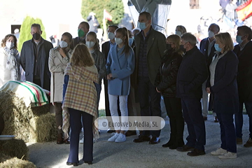 Santa María del Puerto, Premio al Pueblo Ejemplar de Asturias 2021