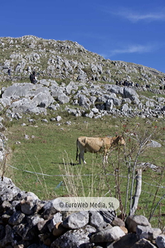 Santa María del Puerto, Premio al Pueblo Ejemplar de Asturias 2021