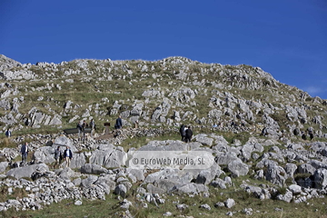 Santa María del Puerto, Premio al Pueblo Ejemplar de Asturias 2021