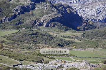 Santa María del Puerto, Premio al Pueblo Ejemplar de Asturias 2021