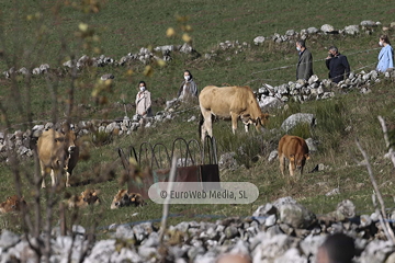 Santa María del Puerto, Premio al Pueblo Ejemplar de Asturias 2021